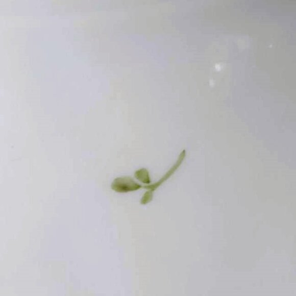 Stunning Antique von Schierholz Gold Gilded Leaves Relief Molded Porcelain Bowl - Picture 12 of 13